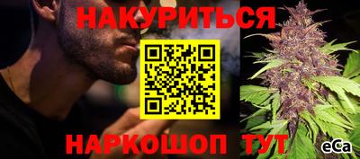a pvp Гатчина