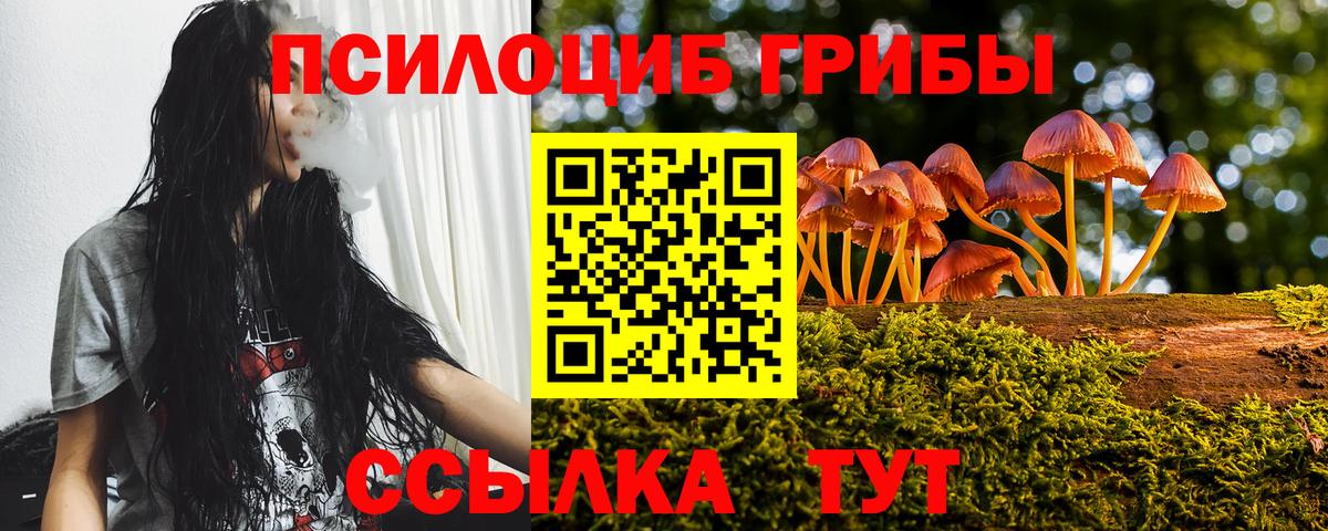 Галлюциногенные грибы GOLDEN TEACHER Грозный