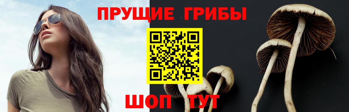 Грозный  Псилоцибиновые грибы ЛСД  Вход с VPN 
